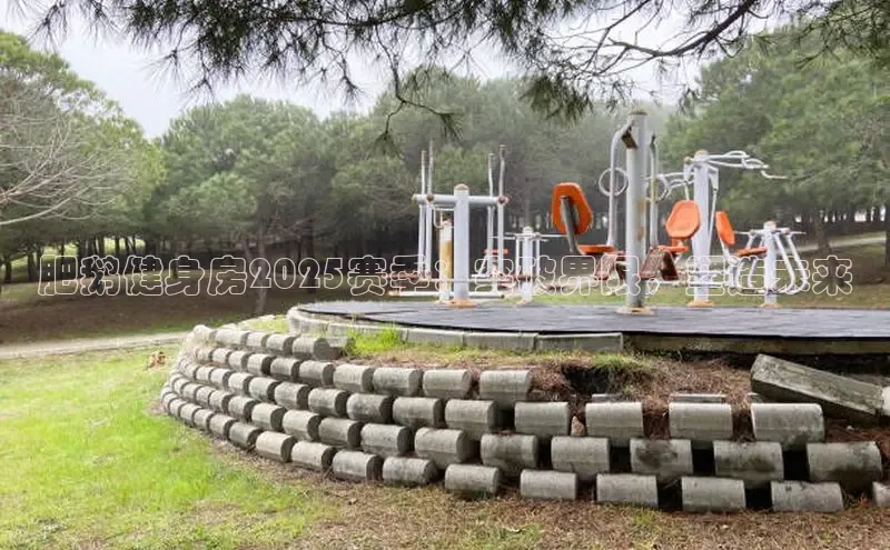 球友会-qy(中国)-官方网站